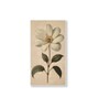 White Flower Canvas Series Set of 3 Printed Wall Painting White Frame