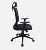 Yuzuki Ergonomic Chair With Adjustable Handle, Lumbar Support And Neck Rest In Black Colour