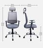 Nagisa Ergonomic Chair With Adjustable Handle, Lumbar Support and Neck Rest In Grey Colour