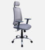 Nagisa Ergonomic Chair With Adjustable Handle, Lumbar Support and Neck Rest In Grey Colour