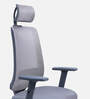 Nagisa Ergonomic Chair With Adjustable Handle, Lumbar Support and Neck Rest In Grey Colour