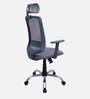 Nagisa Ergonomic Chair With Adjustable Handle, Lumbar Support and Neck Rest In Grey Colour