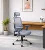 Nagisa Ergonomic Chair With Adjustable Handle, Lumbar Support and Neck Rest In Grey Colour