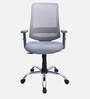 Fuku Ergonomic Chair With Adjustable Handle And Lumbar Support In Grey Colour