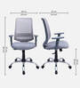 Fuku Ergonomic Chair With Adjustable Handle And Lumbar Support In Grey Colour