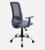 Fuku Ergonomic Chair With Adjustable Handle And Lumbar Support In Grey Colour