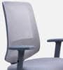 Fuku Ergonomic Chair With Adjustable Handle And Lumbar Support In Grey Colour