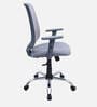 Fuku Ergonomic Chair With Adjustable Handle And Lumbar Support In Grey Colour