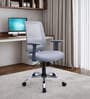 Fuku Ergonomic Chair With Adjustable Handle And Lumbar Support In Grey Colour