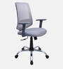 Fuku Ergonomic Chair With Adjustable Handle And Lumbar Support In Grey Colour