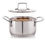 Deluxe Series Stainless Steel Dia-7.87 Inc Impact Bonded Tri Ply Bottom Induction Straight Casserole with Steel Lid