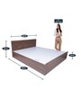 Den Queen Size Bed With Box Storage In Walnut Finish