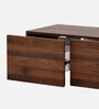 Denny Entertainment Console in Brown Colour With Storage