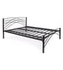 Metallika Denver Queen Size Bed in Black Finish