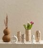 Desert Farmhouse Set Of 7 Multicolour Ceramic Vase