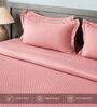 Desert Rose 300TC 100% Cotton Flat Chekered Super King Bedsheet with 2 Pillow Covers