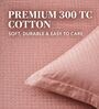 Desert Rose 300TC 100% Cotton Flat Chekered Super King Bedsheet with 2 Pillow Covers