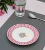 Designer Ceramic Dinner Plate