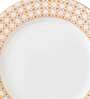 Designer 7 Inch Multicolour Ceramic Side Plate