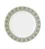 Designer Ceramic Dinner Plate