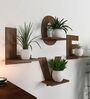 Designer Love Text Alphabet Dark Walnut Planter Shelves Set Of 4