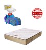 Desire Pillow Top Queen Bed 72x60x6 Bonnell Spring Mattress (Free Pillows with Bedsheet)