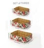Set Of 3 Multicolor Seagrass Handmade Eco-Friendly Table Organizer & Storage Basket