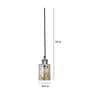 Nico Dexter Transparent Glass Hanging Light