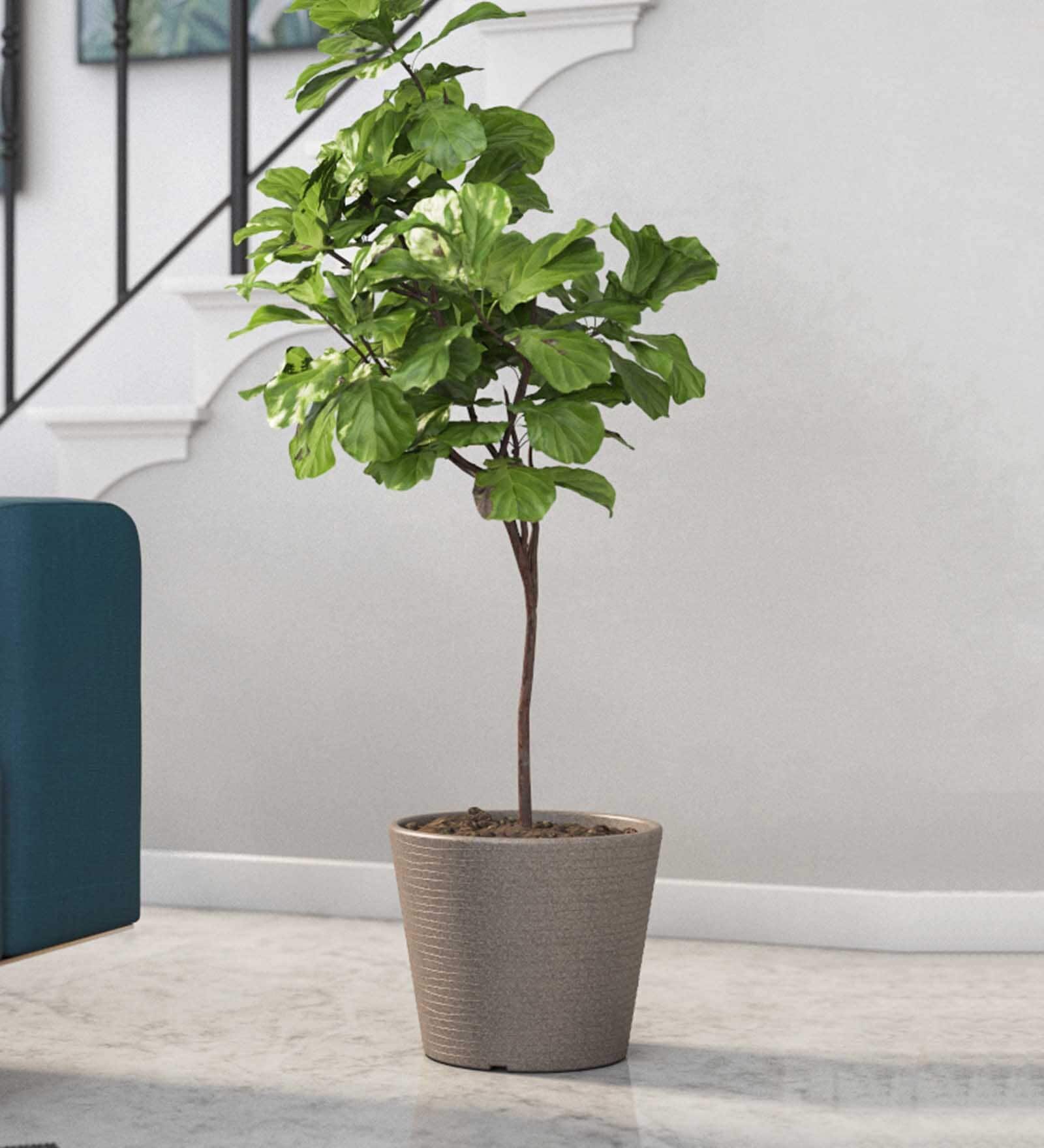 Dholpur Aloha Small Beige Polymer Floor
Planter