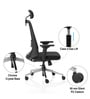 Dhara Office Chair with Adjustable Lumbar Support & Headrest in Black colour