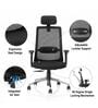 Dhara Office Chair with Adjustable Lumbar Support & Headrest in Black colour