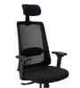 Dhara Office Chair with Adjustable Lumbar Support & Headrest in Black colour