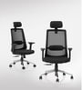 Dhara Office Chair with Adjustable Lumbar Support & Headrest in Black colour