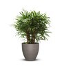 Iraka Large Beige Polymer Floor Planter