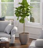 Iraka Large Beige Polymer Floor Planter