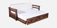 Diamond Sheesham Wood Pull Out 3 Seater Sofa Cum Bed In Provincial Teak Finish With Storage