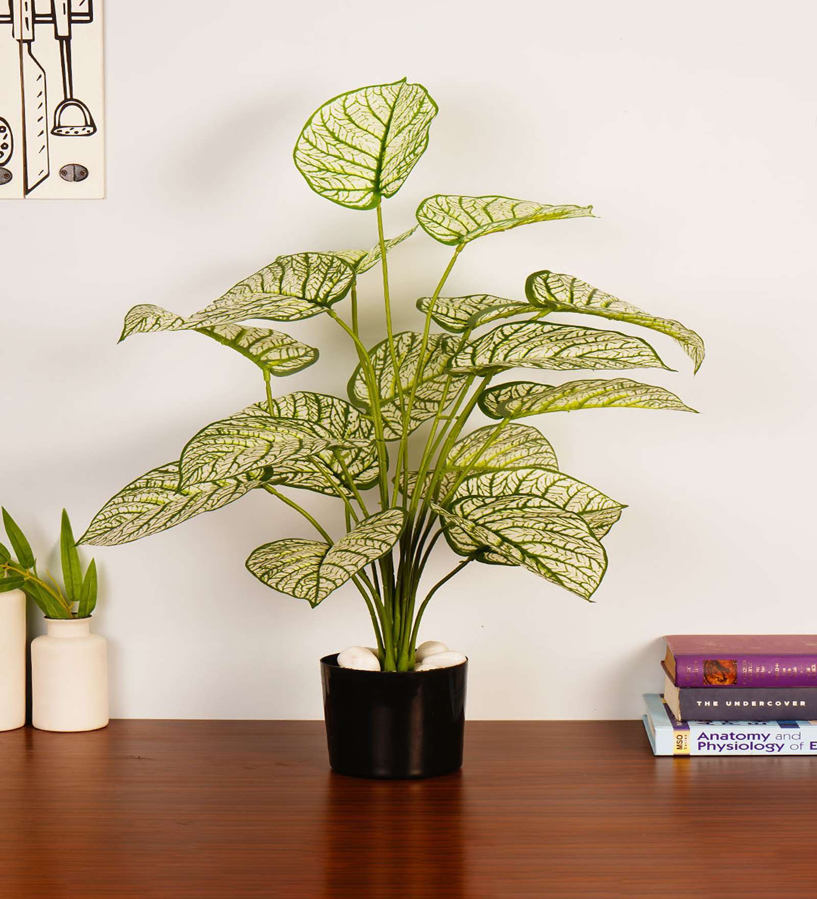 Artificial Dieffenbachia Plant 65Cm