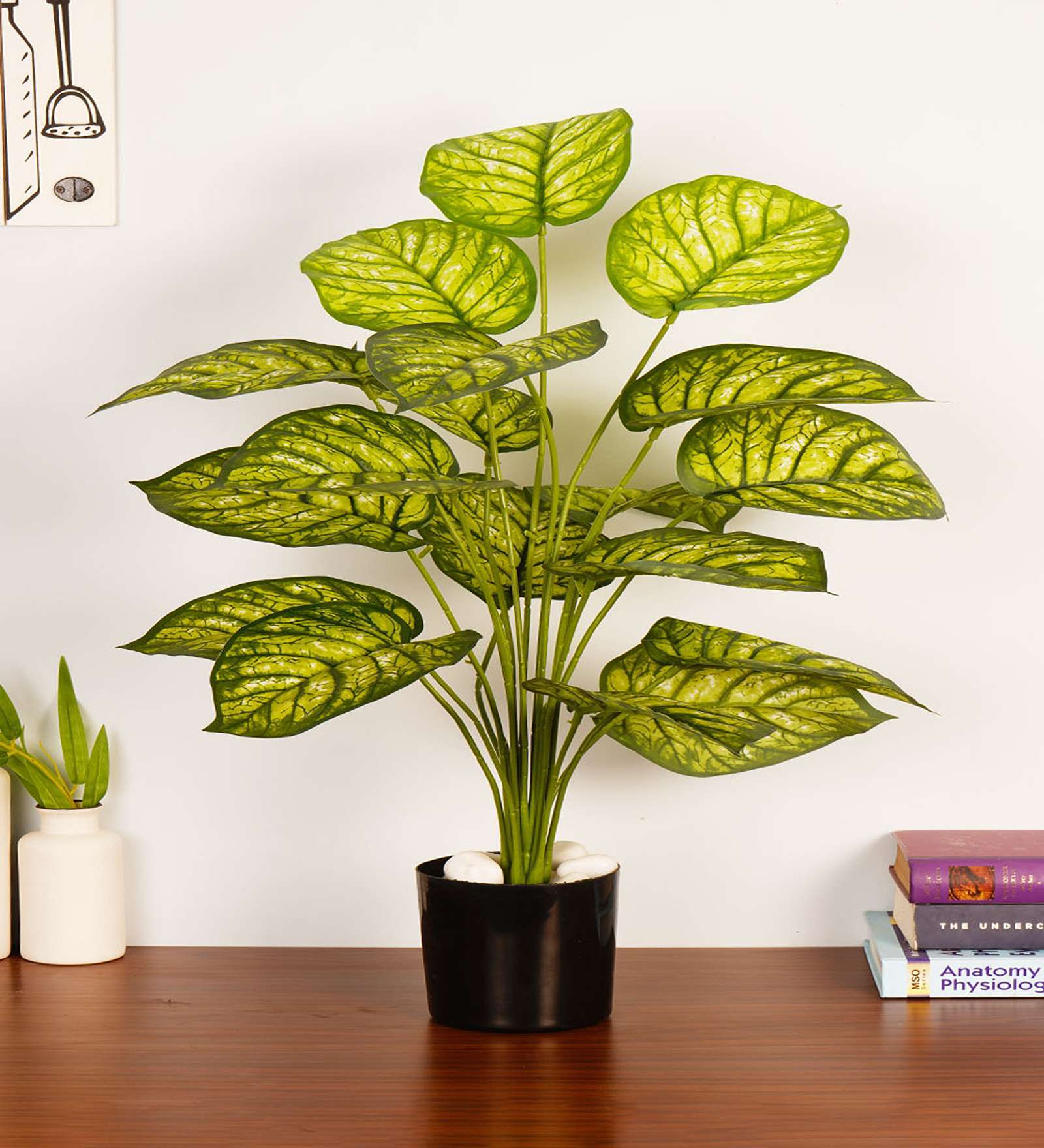 Artificial Dieffenbachia Plant 65Cm