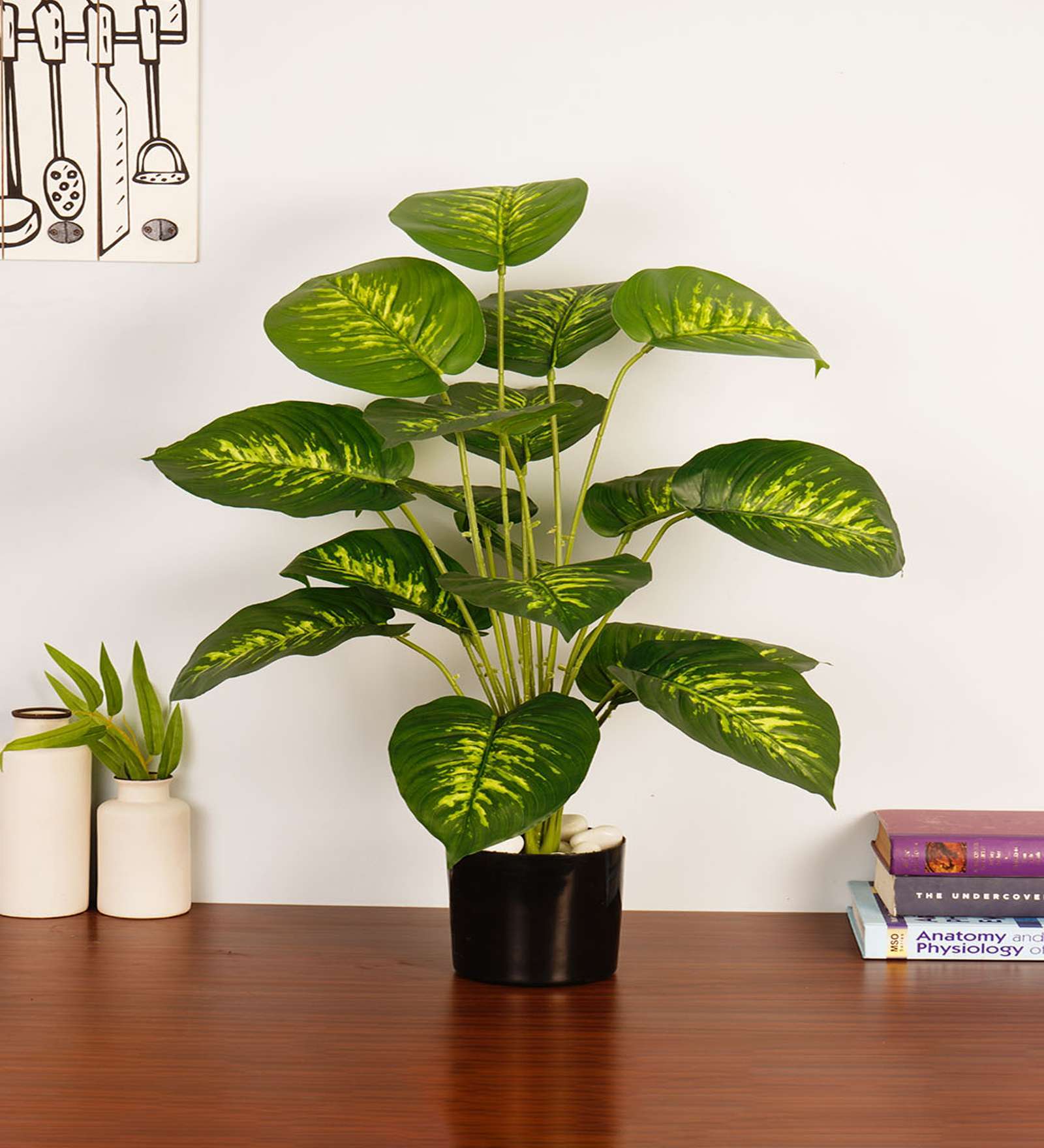 Artificial Dieffenbachia Plant with Black Pot 65Cm