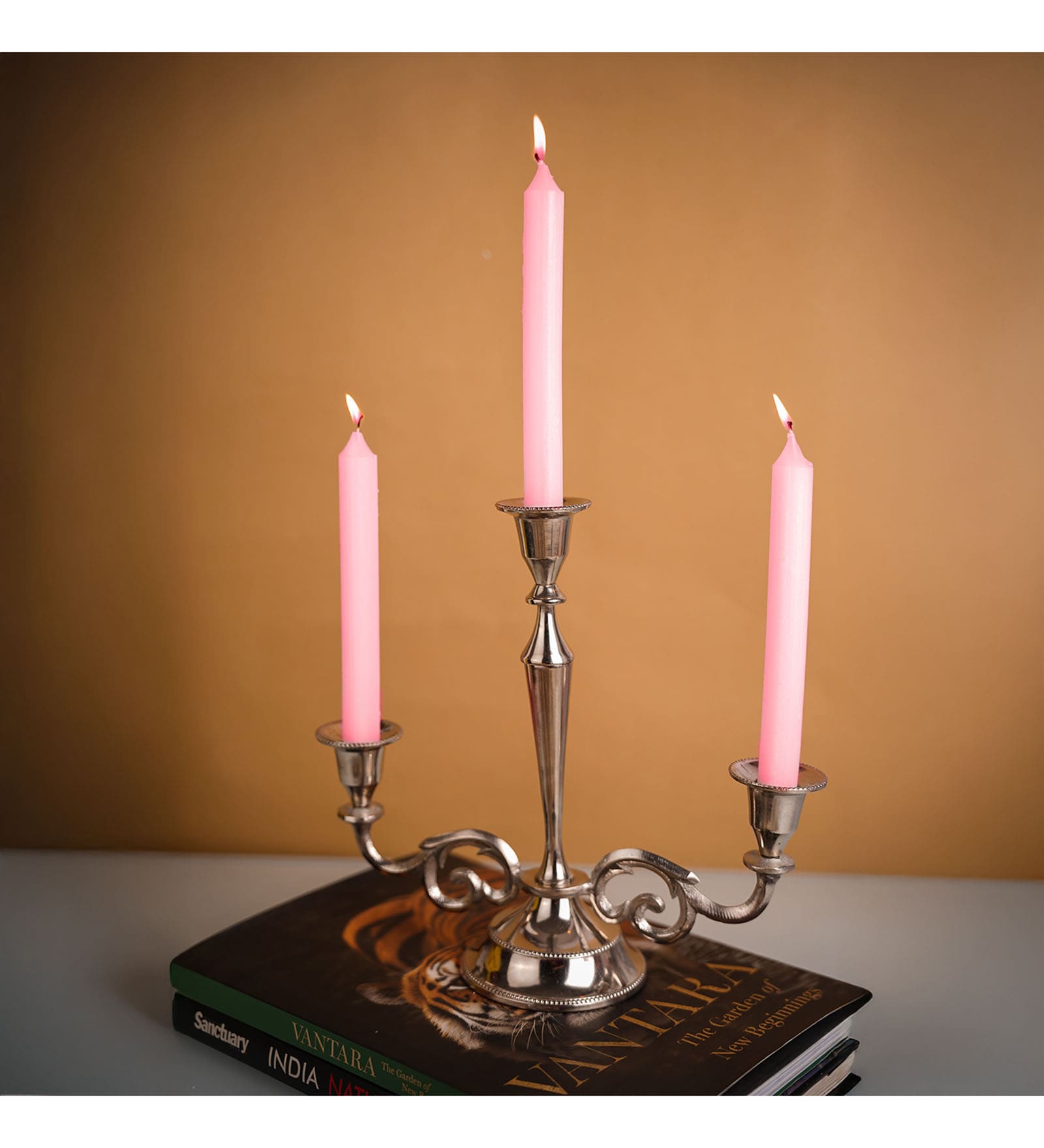 4Pcs Pink Dinner Wax Candles