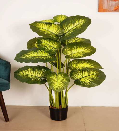 Artificial Dieffenbachia Plant with Black Pot