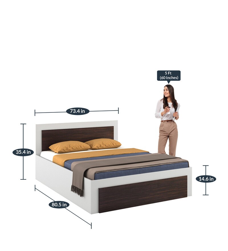 Buy Dimora King Size Bed with Hydraulic Storage in Brown & White Colour
