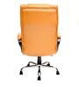 Diana High Back Executive Chair In Tan Colour