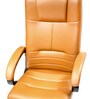 Diana High Back Executive Chair In Tan Colour