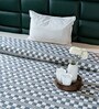 Multicolor Dibbi Single Bedspread With Pillow Cover
