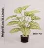 Artificial Dieffenbachia Plant 65Cm