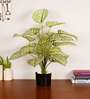 Artificial Dieffenbachia Plant 65Cm