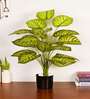 Artificial Dieffenbachia Plant 65Cm