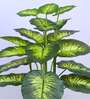 Artificial Dieffenbachia Plant with Black Pot