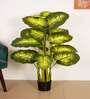 Artificial Dieffenbachia Plant with Black Pot